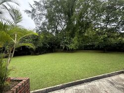 Dunearn Road (D21), Detached #638639261
